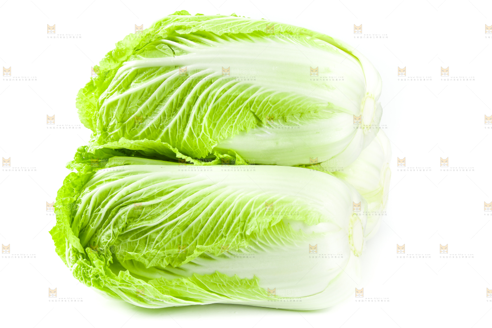 白底上的有机大白菜