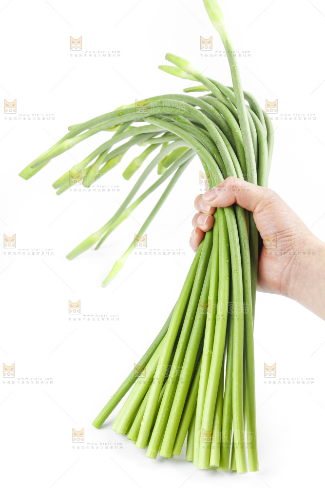 手里拿着鲜蒜苔