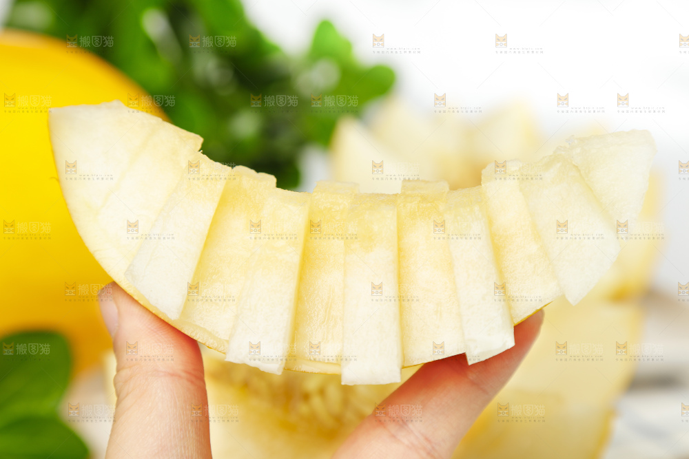 手拿切开的陕西黄河蜜瓜