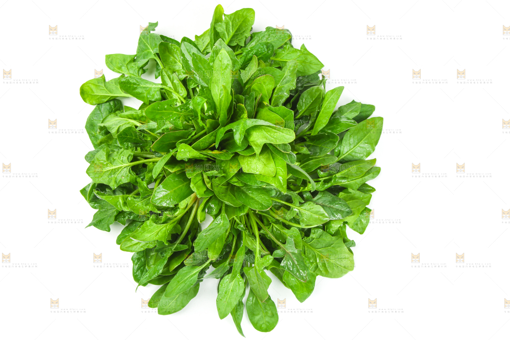 白底上放着新鲜菠菜