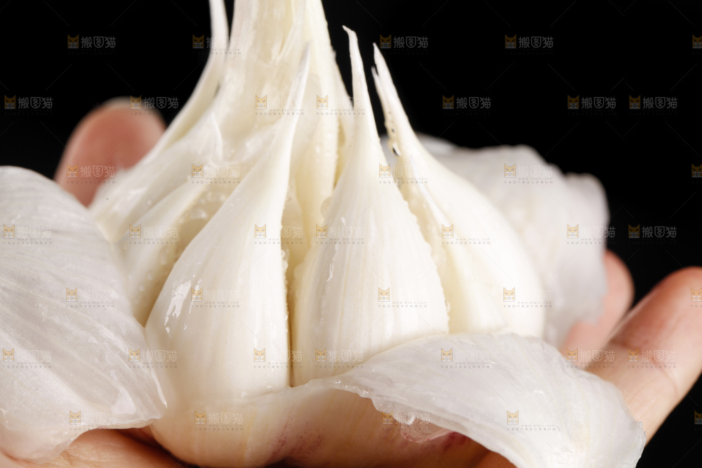 手拿新鲜紫皮大蒜