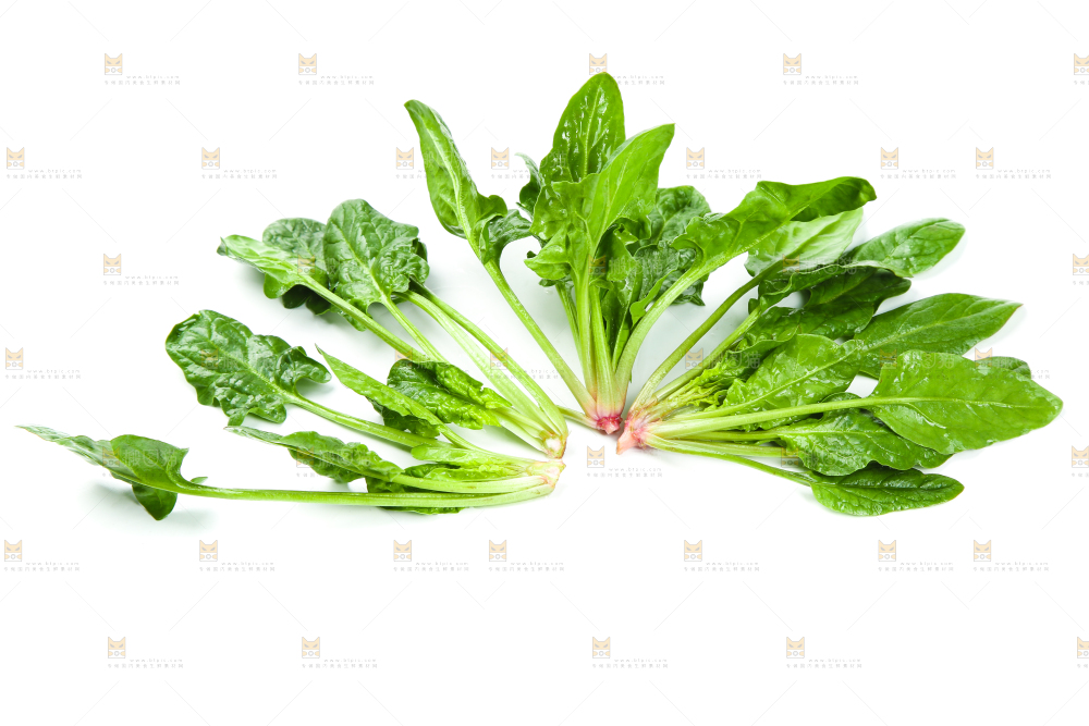 白底上放着新鲜菠菜