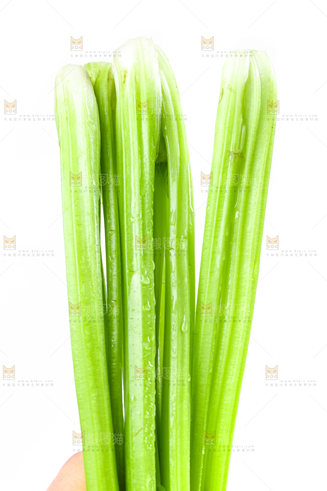 白底上放着新鲜芹菜