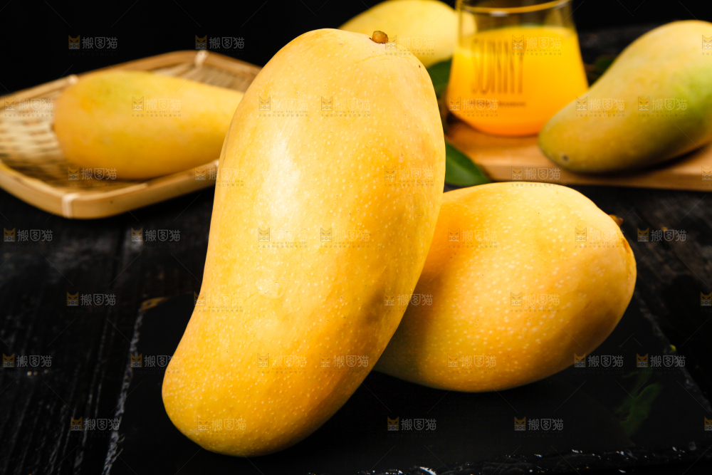 黑底上的水仙芒