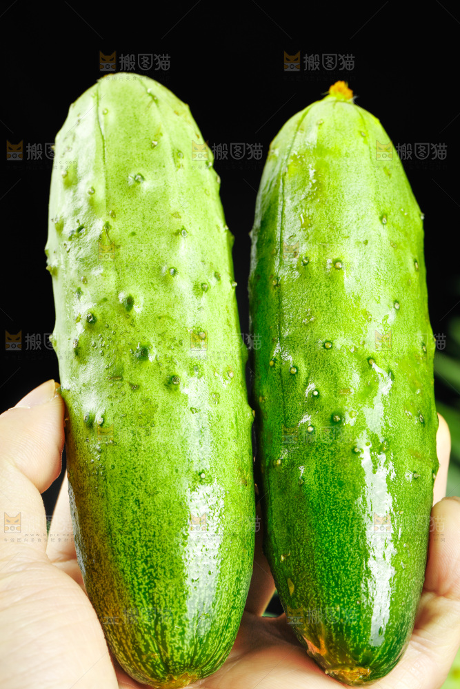 手里拿着黄瓜