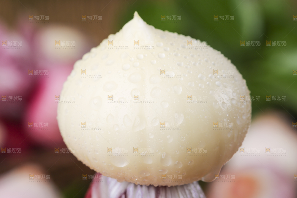 木底上放着剥皮的新鲜独蒜