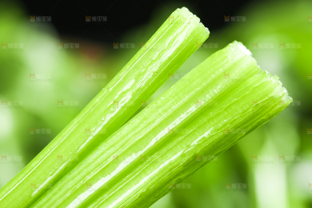 黑底上放着小芹菜
