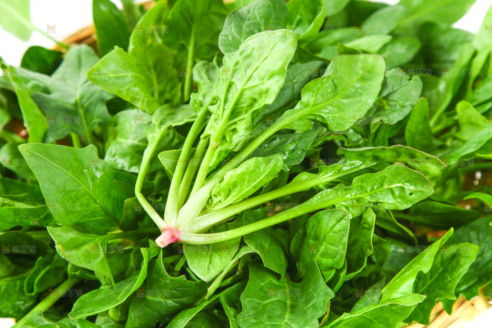 篮子里放着菠菜