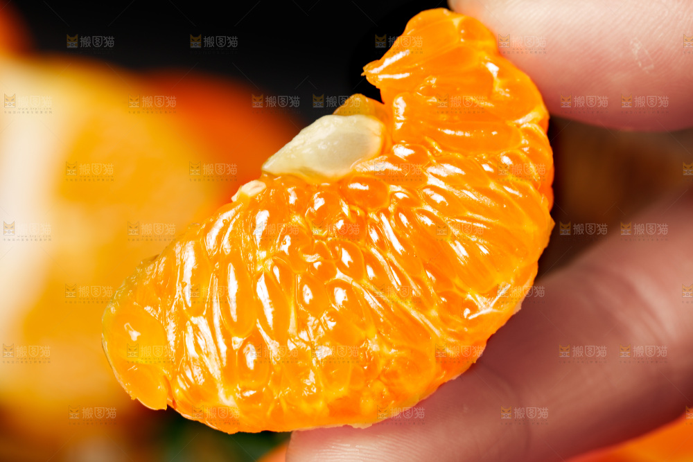 手里拿着新鲜沃柑