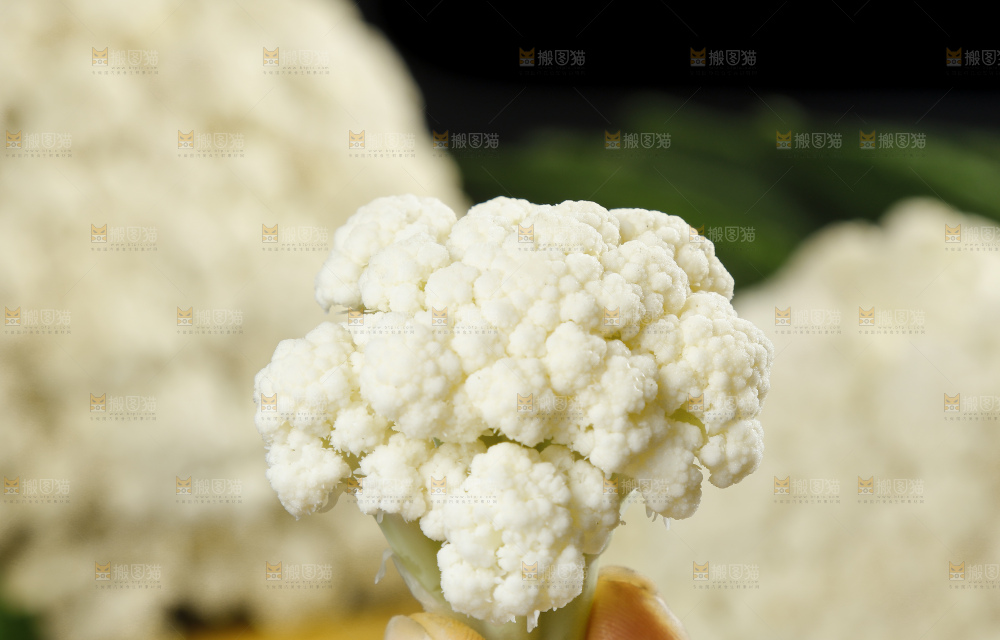 手拿新鲜花椰菜
