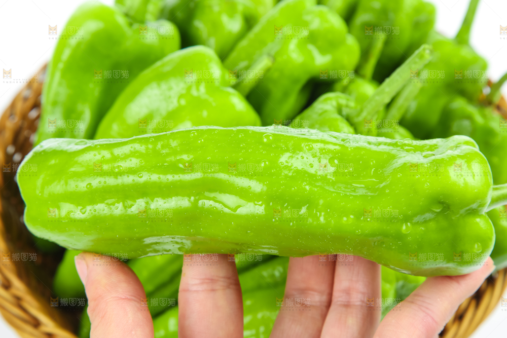 手里拿着鲜嫩辣椒