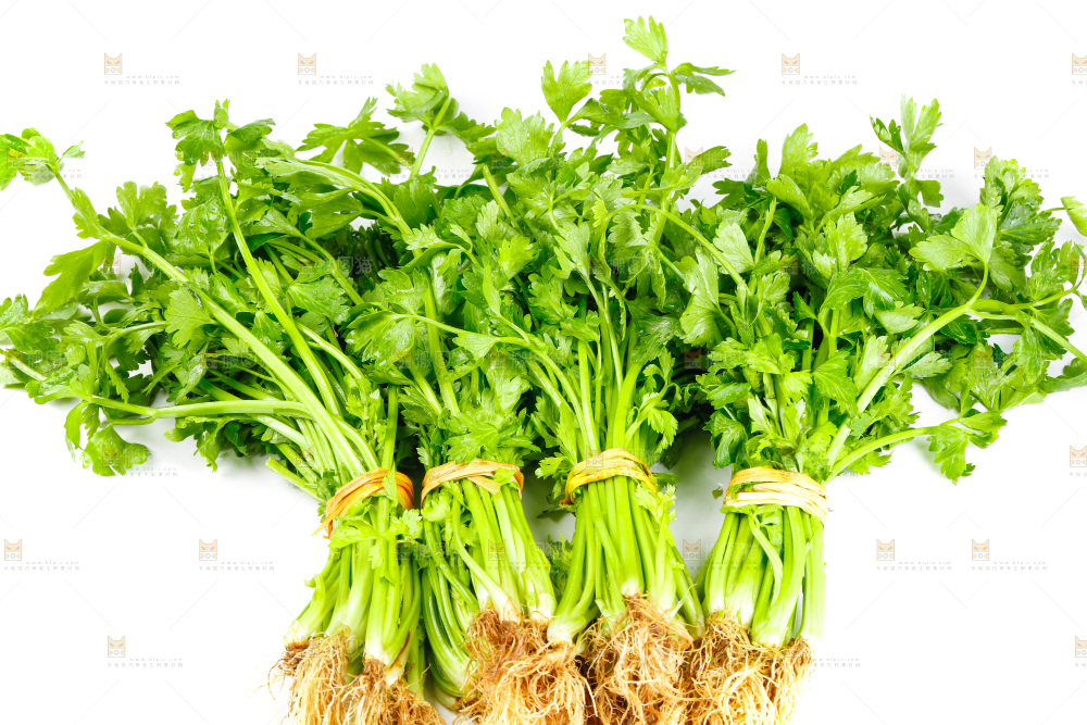 白底上放着芹菜