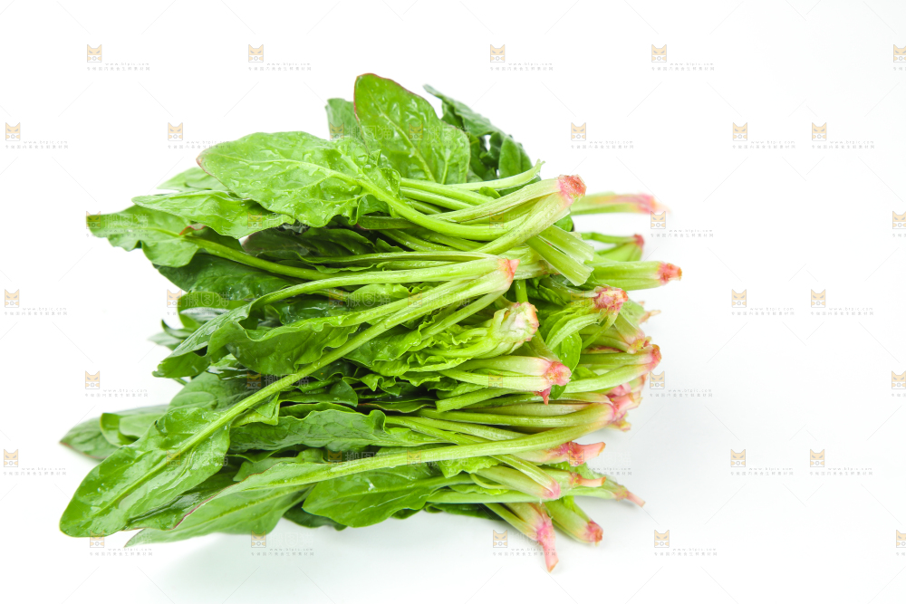 白底上堆着菠菜