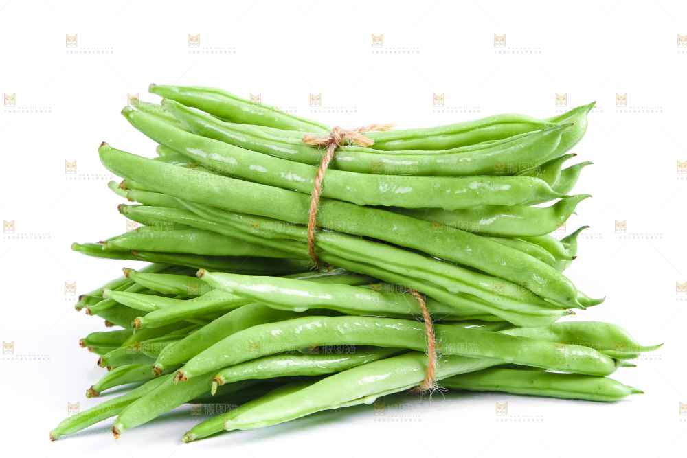 新鲜陕西四季豆放在白底上