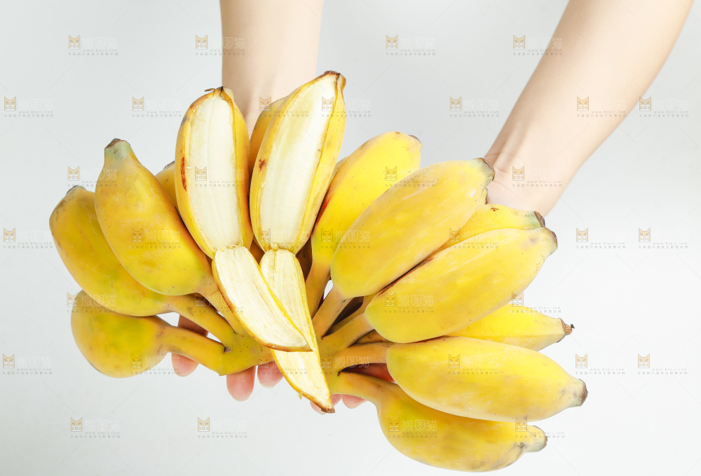 手拿着一串广西苹果蕉
