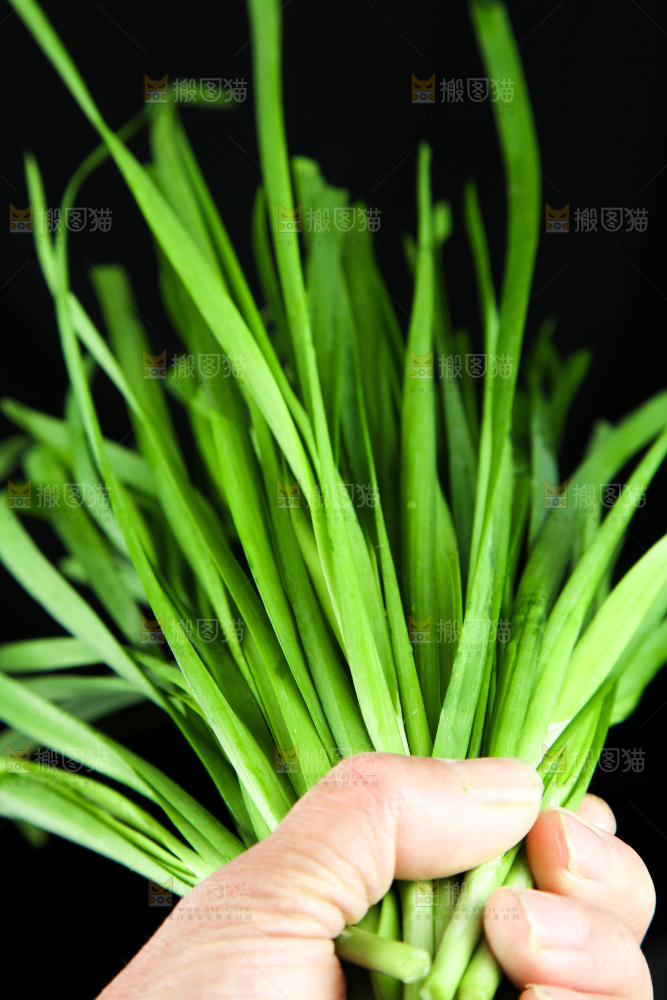 黑底上堆放着韭菜