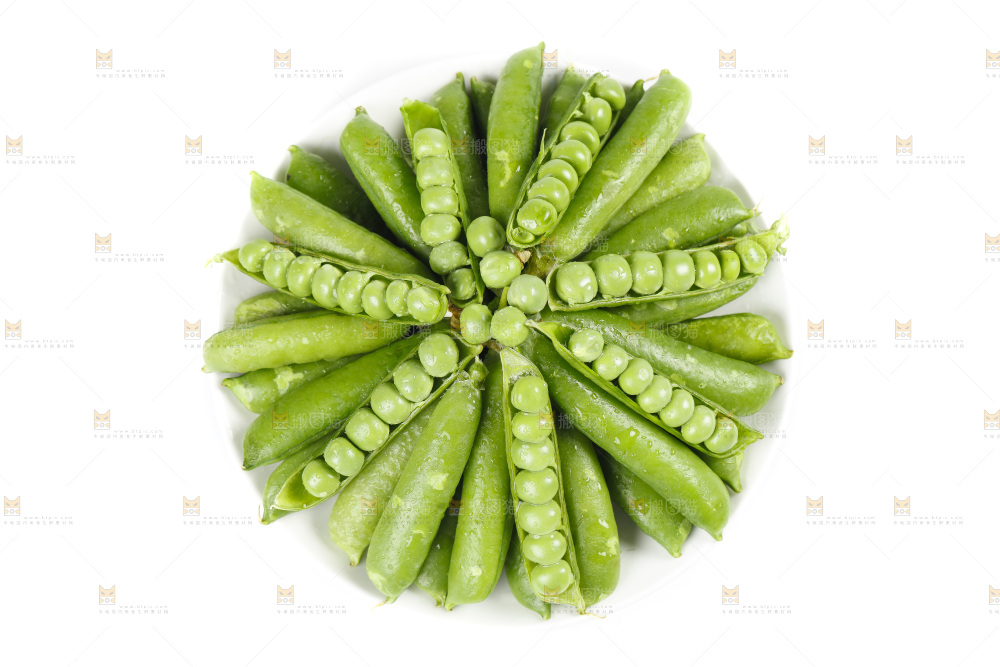 白底上的青豌豆