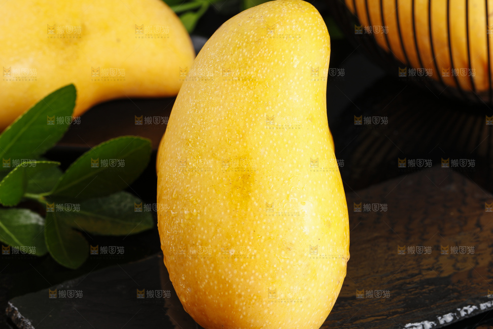黑石板上放着新鲜的水仙芒