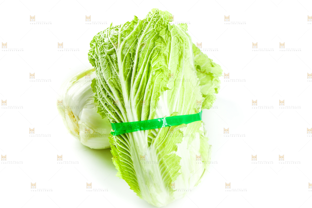 白底上放着大白菜