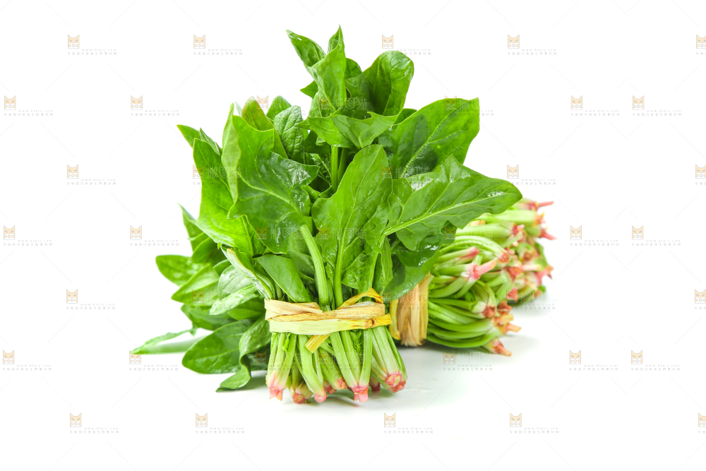 白底上放着新鲜菠菜