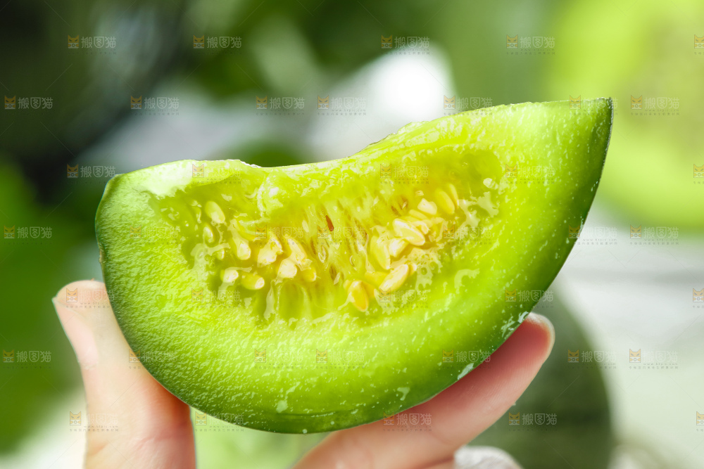 手里拿着绿宝甜瓜