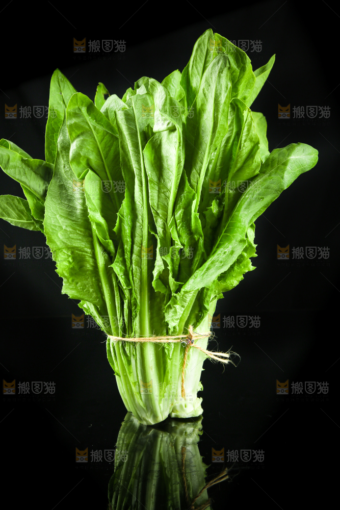 黑底上的油麦菜