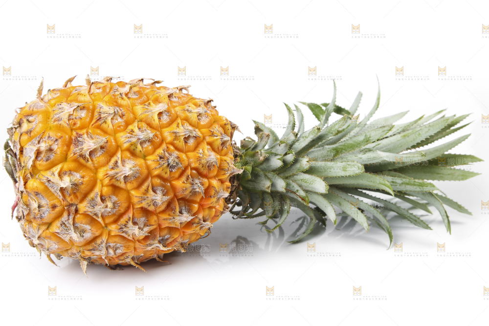 白底上的新鲜菠萝