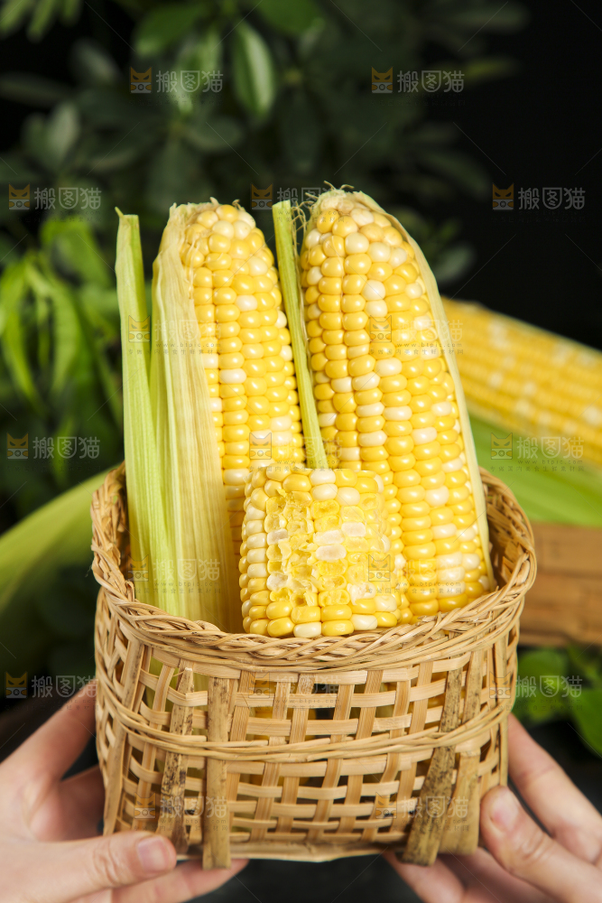 竹篮里放着剥皮的甜玉米