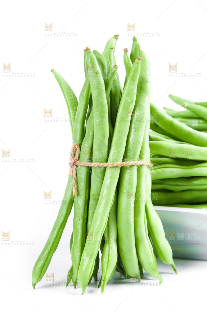 新鲜陕西四季豆放在白底上