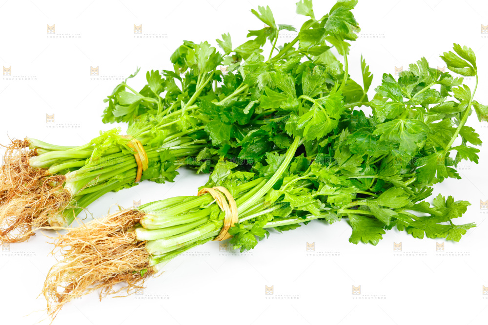 白底上放着芹菜