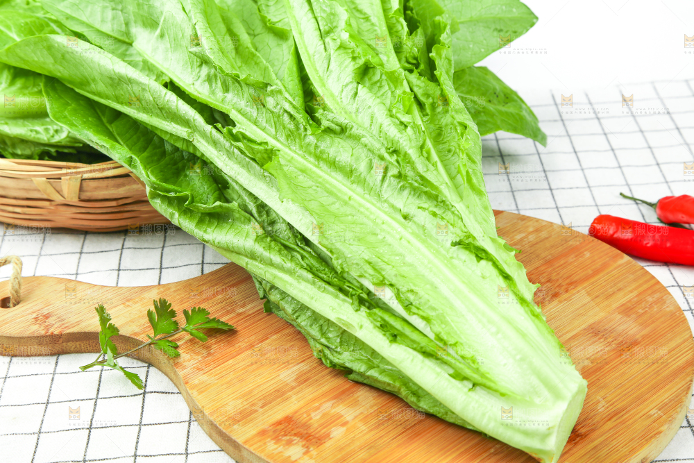格子底上放着油麦菜