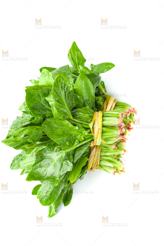 白底上放着新鲜菠菜