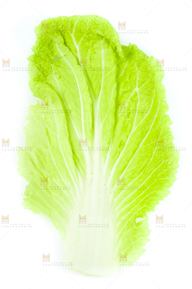 白底上放着白菜