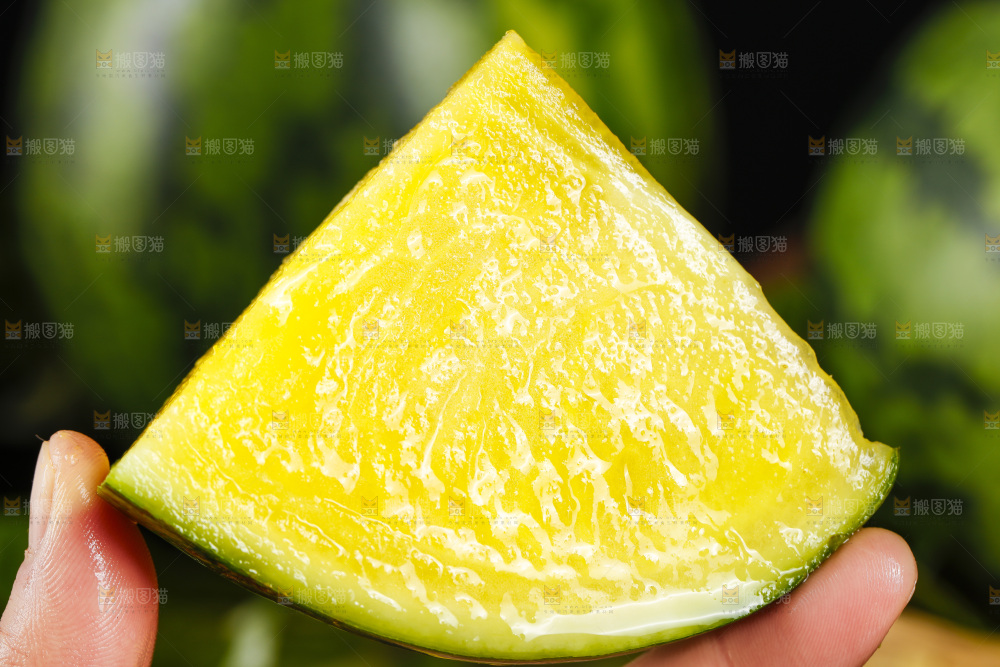 手拿切开的特小风黄心西瓜