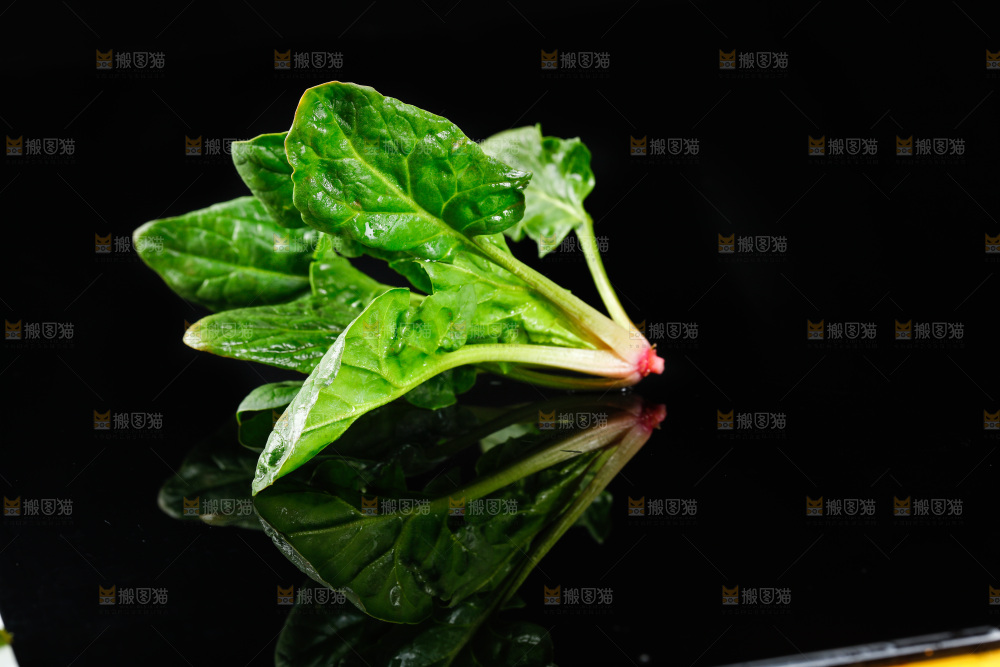 黑底上的菠菜