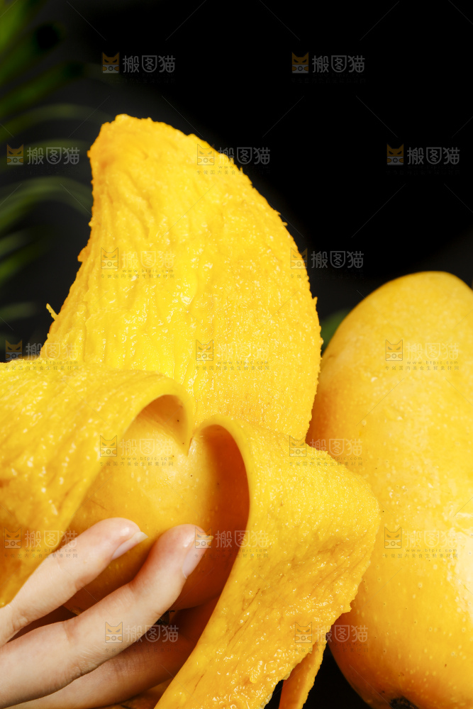 手拿剥皮的海南金煌芒