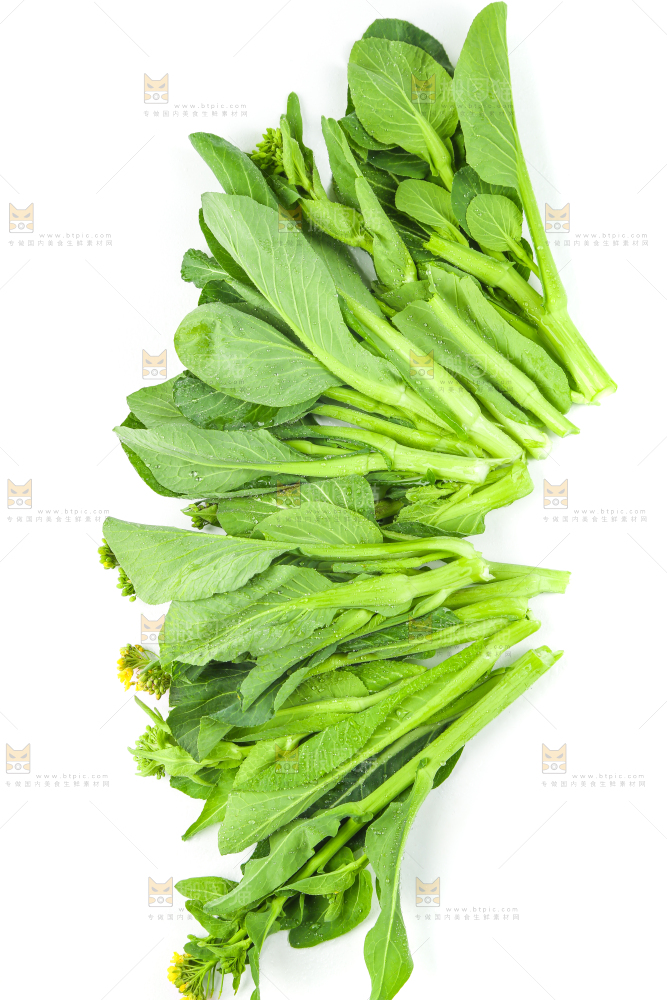 白底上的菜薹