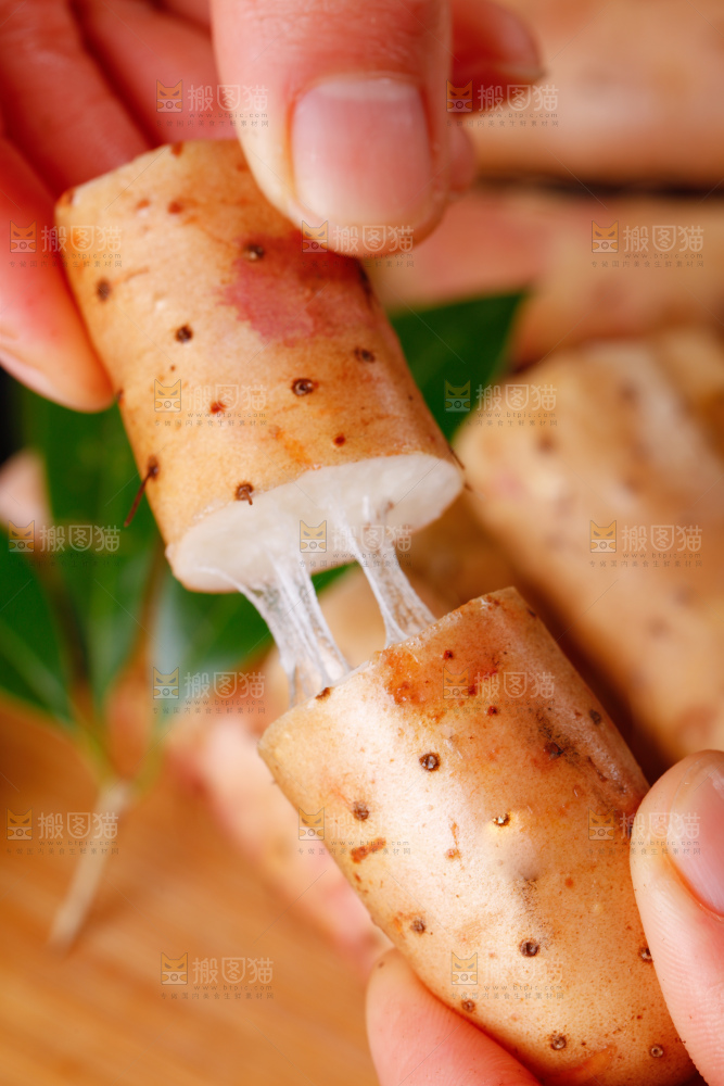 手里拿着小白嘴山药