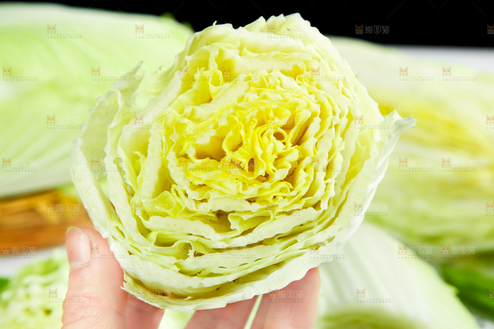 手上拿着大白菜