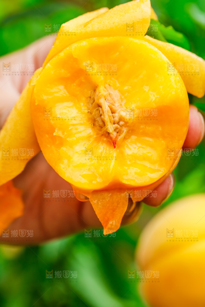 手里拿着剥皮了的黄肉毛桃
