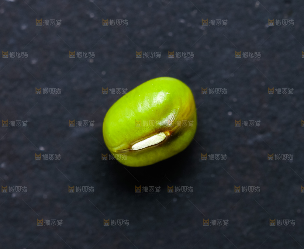 深底上放着小绿豆
