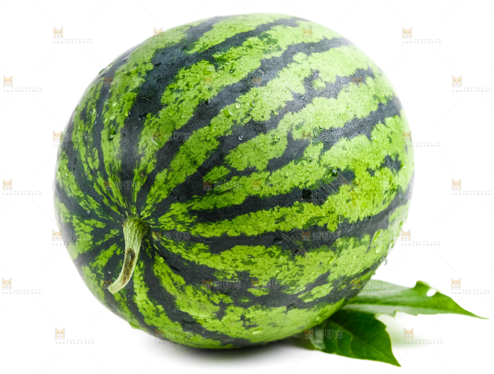 白底上摆放着麒麟瓜