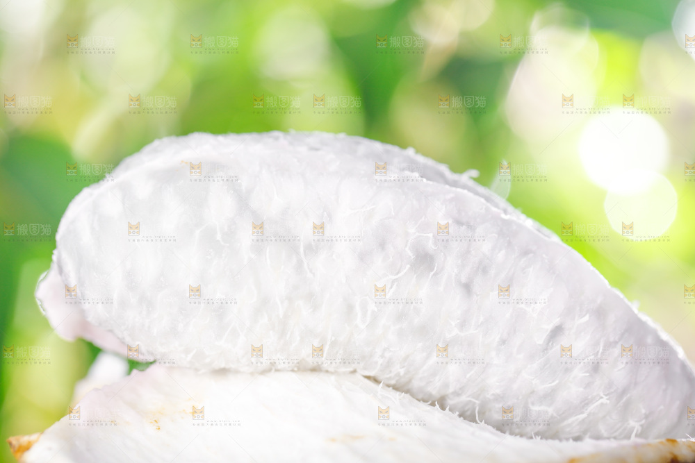 草地上的八月瓜