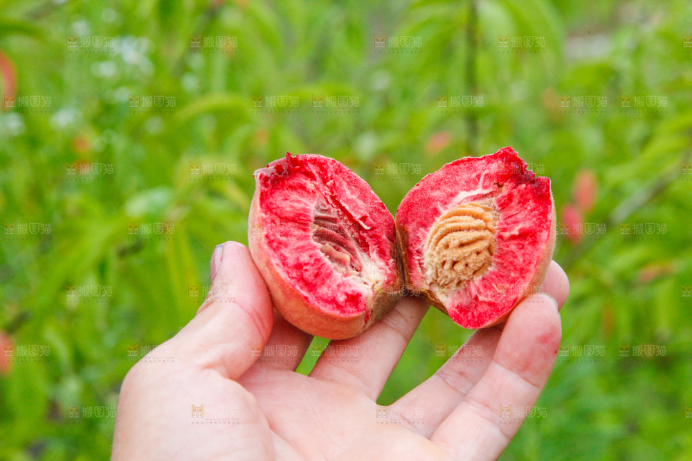 手里拿着桃子