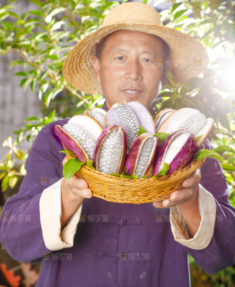 篮子里的八月炸