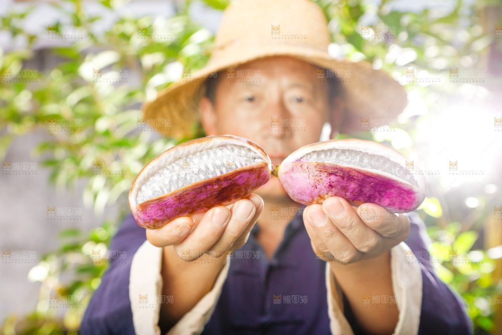 手里拿着新鲜八月瓜