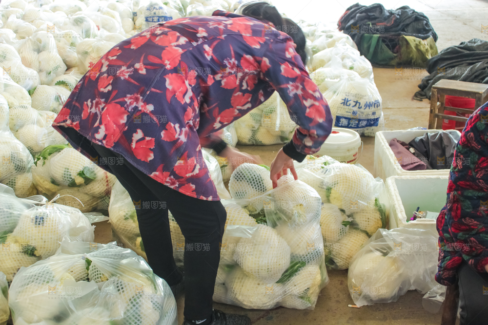 袋子里装着花菜