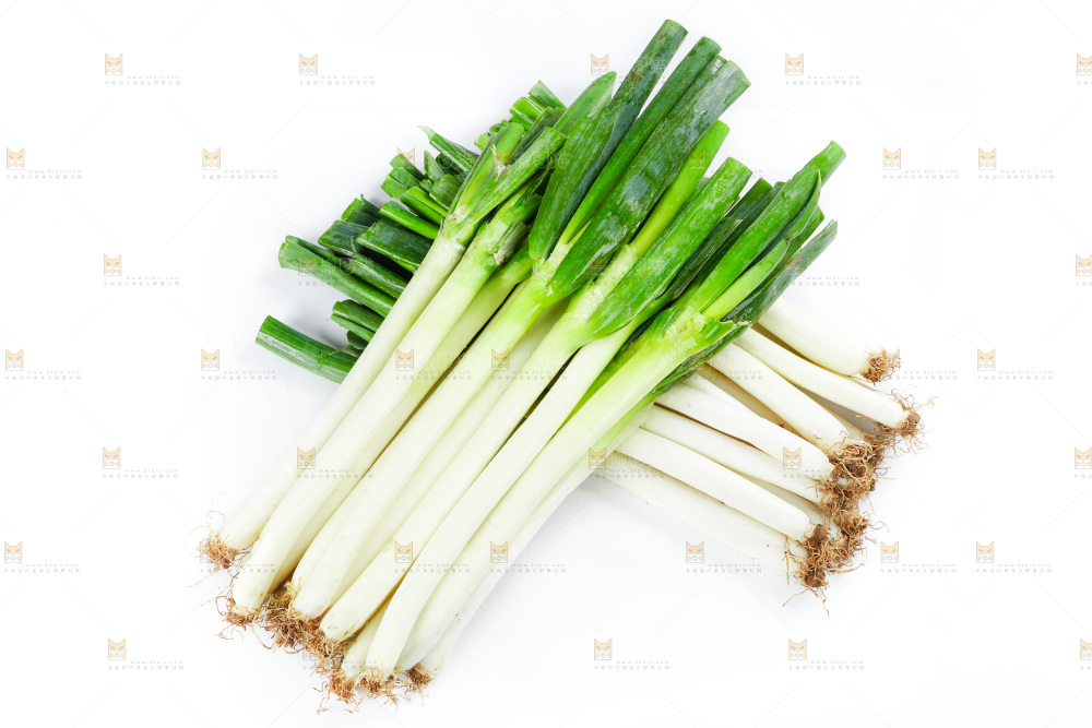 白底上的大葱