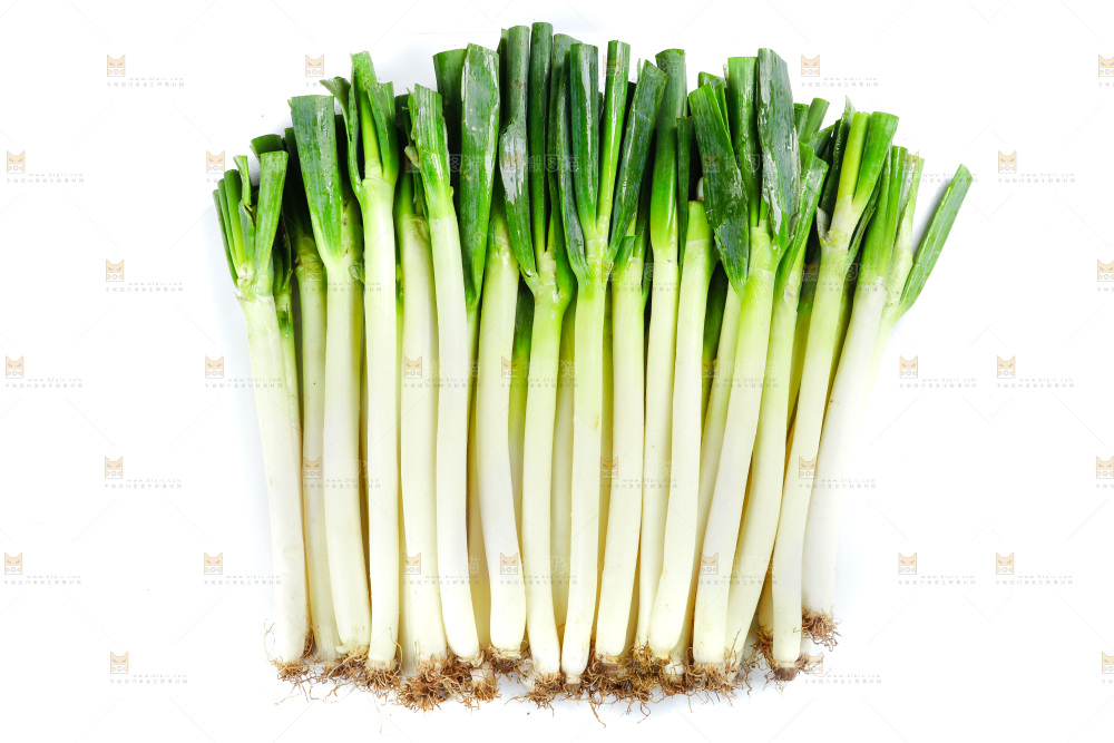 白底上的大葱