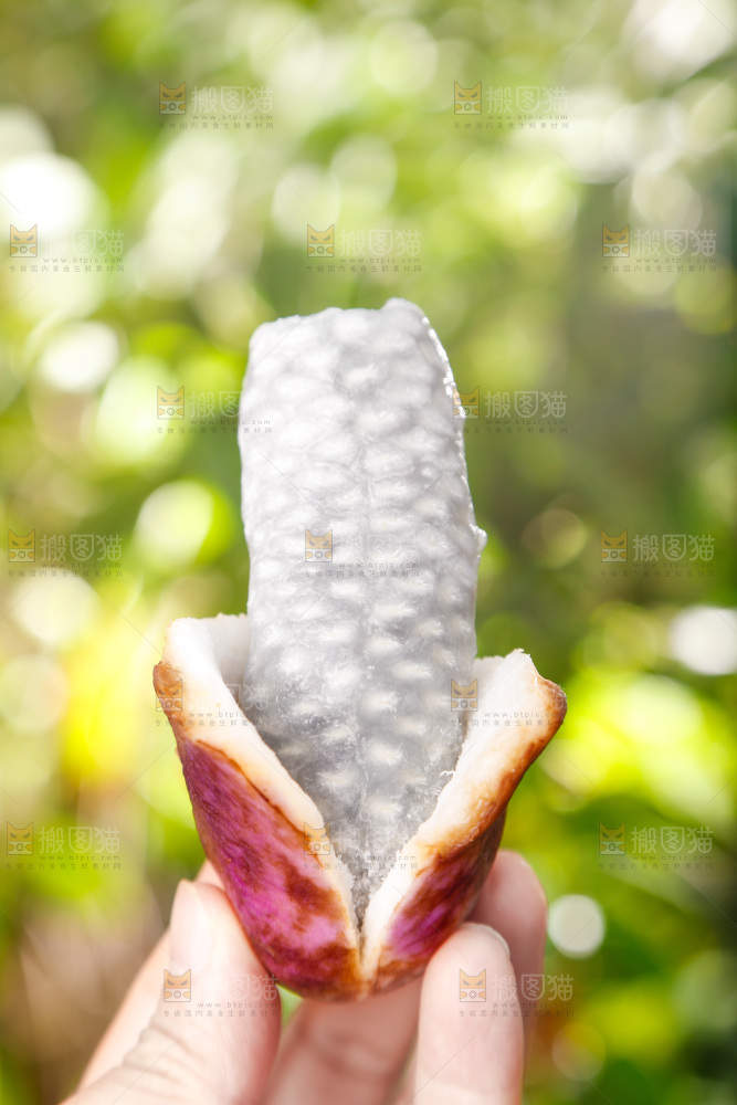 手里拿着云南八月瓜